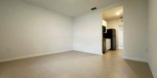 339 PUMA LOOP Gallery 23