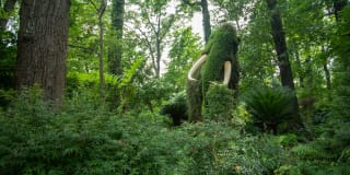 Windsor at Midtown Gallery 46