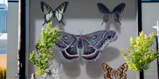 Residences at CityWay Gallery 67