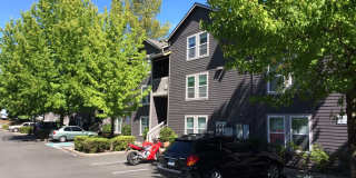 Barbur Heights Gallery 1