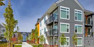 Anthology Apartments Gallery 28