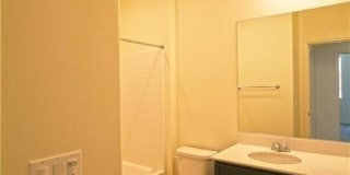 710 Banyan Way Gallery 11