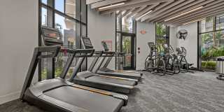 Leksa at Cityplace Gallery 37