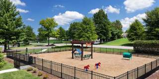 Addison Crater Woods Gallery 27