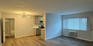 6536LAM Gallery 10