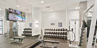 Berkshire Coral Gables Gallery 15