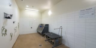 Modera Belmont Gallery 34