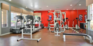 The Mariner at South Shores Gallery 15