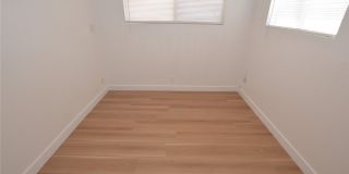 813 Carpenter Drive Gallery 9