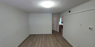 Penthouse Gallery 18