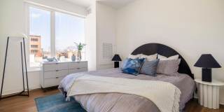 The Carson Gallery 22