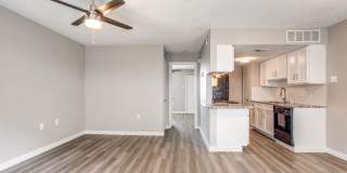 Villa de Oro Villa de Oro Gallery 6