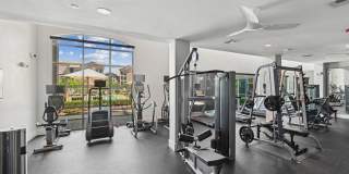 Avalon Frisco Gallery 16