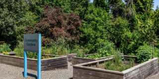 81 Fifty at West Hills Gallery 22