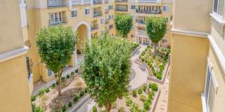 Windsor at Midtown Gallery 6