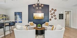 Avanterra Black Forest Gallery 11
