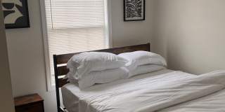 2014 Willis St Gallery 11