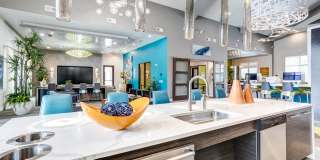 San Remo Gallery 9