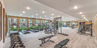 Aspire at Alper Gallery 41