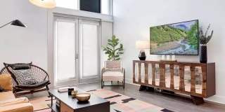 The Oasis Gallery 16