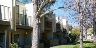 Mission Hills Must See!  2nd Floor Studio w/assigned parking and on-site laundry. Gallery 1