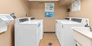 ReNew at the Grove Gallery 6