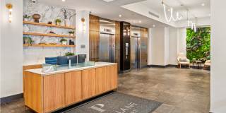 Park Lane Seaport Gallery 5