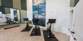 Constellation Park Gallery 21