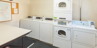 Mason Manor Gallery 3