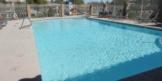 Exquisite Chandler 4 bed 3 bath home with Community Pool!! Gallery 13