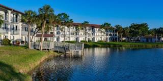 Cameron Cove Gallery 20