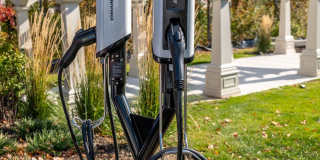 Traders Row Gallery 25