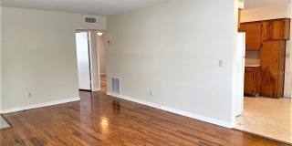 310 E POINSETTIA STREET Gallery 10