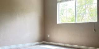 7709 Brilliant Forest Street Gallery 15