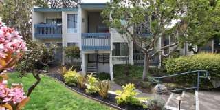 902 Camino Real #106 Gallery 11