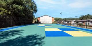 Meadow Wood Gallery 27