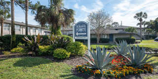 St Johns Pointe Gallery 24