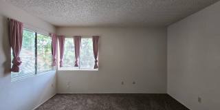 4147 Pinewood Lake - House with Office Gallery 20