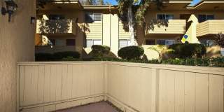 Elán Solana Pointe Gallery 12