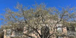 2001 TIZEWELL CIRCLE Gallery 1