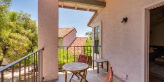 6441 N Tierra De Las Catalinas Gallery 28