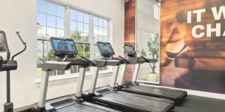 Chestnut Hill Village Gallery 42