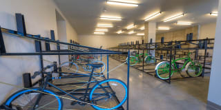 Modera Belmont Gallery 33