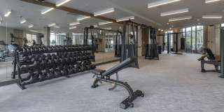 The Maxwell at Xentury City Gallery 34