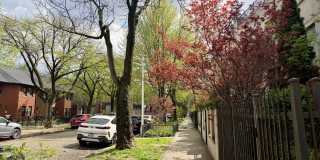 1350 N LEAVITT Street Gallery 20