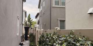 7338 Wisteria Lane Gallery 17