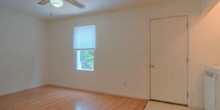 4 bedroom / 2 1/2 Bath. Undergrad Welcome. Off Street Parking, Bus Route Gallery 8