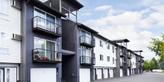 Whimsical Pig Gallery 30