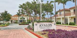 505 Lands End Way Gallery 19