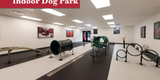 Fox & Hounds Gallery 24